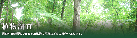植物調査